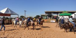 cavalos-se-assustam-com-fogos-de-artificio-de-show-e-atropelam-gcm-em-sao-carlos