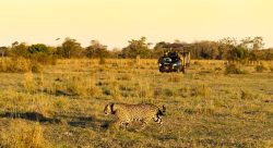 fogo-no-pantanal:-pousadas-fecham-temporariamente-em-miranda,-no-ms