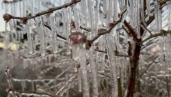 com-onda-de-frio,-cidades-do-rs-registram-temperaturas-negativas