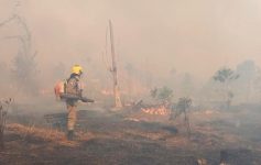 incendio-de-grande-proporcao-atinge-area-de-pasto-no-interior-do-amazonas