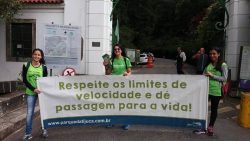 projeto-reduz-mortes-de-animais-em-rodovia-do-rj