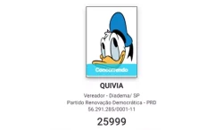 virou-disneylandia?-candidata-e-registrada-com-foto-do-pato-donald-nas-eleicoes-2024