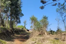 casal-de-sc-suspeito-de-matar-ex-de-mulher-e-fugir-com-filha-de-4-anos-esta-foragido