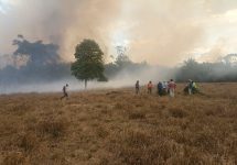 mais-de-100-pessoas-tentam-combater-incendio-florestal-que-ja-dura-quatro-dias;-video