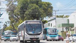 programa-vaivem:-desempregados-terao-passagens-gratuitas-em-onibus-da-grande-fortaleza