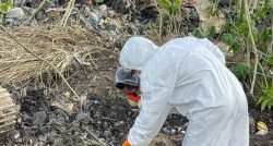 corpo-em-decomposicao-e-encontrado-por-moradores-em-cova-rasa-no-para