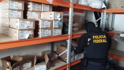 pf-apreende-mais-de-10-mil-municoes-em-imperatriz,-no-ma