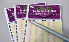 lotofacil-da-independencia:-cinco-apostas-de-sc-acertam-15-numeros-e-levam-premio-milionario