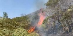 incendio-na-serra-da-bocaina,-em-bananal,-ja-destruiu-area-equivalente-a-mais-de-330-campos-de-futebol