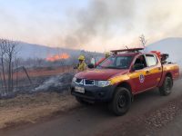 incendio-volta-a-atingir-serra-da-moeda;-video