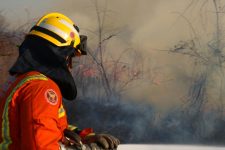 video:-bombeiros-combatem-incendio-florestal-ha-mais-de-24-horas-em-apodi