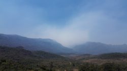 incendio-destroi-entorno-da-serra-do-caraca-que-abriga-santuario;-regiao-e-lar-de-lobos-guara