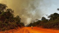 lavouras-destruidas,-falta-de-alimentos-e-abrigo-temporario:-41-terras-indigenas-de-mt-sao-devastadas-por-incendios