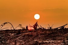 tres-cidades-do-vale-e-regiao-sao-classificadas-com-‘seca-severa’,-segundo-o-cemaden;-veja-a-situacao-de-cada-municipio