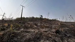 incendio-em-florianopolis-e-controlado-apos-madrugada-em-chamas;-bombeiros-ainda-monitoram-area