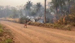 do-cerrado-ao-pantanal:-ms-tem-40%-das-cidades-com-focos-de-incendios;-veja-video