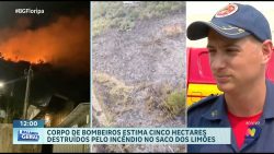 incendio-no-saco-dos-limoes:-corpo-de-bombeiros-estima-5-hectares-destruidos