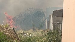 incendio-volta-a-atingir-area-da-mata-do-furquim-em-presidente-prudente