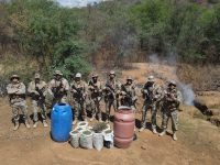 mais-de-200-quilos-de-maconha-sao-apreendidos-no-cariri-da-paraiba