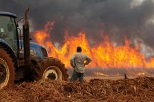 estado-de-sp-tem-17-cidades-com-focos-ativos-de-incendio-neste-sabado