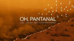 sos-pantanal-lanca-clipe-em-defesa-da-pantanal