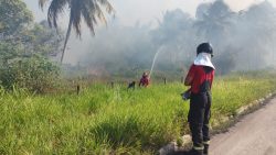 fogo-atinge-terreno-e-forma-varios-focos-de-incendio-no-trevo-do-polo,-em-marechal-deodoro