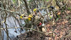 em-24-horas,-mais-de-30-focos-de-incendio-sao-registrados-na-regiao-metropolitana-de-manaus