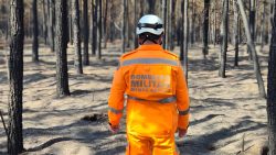 incendio-na-cidade-de-prata-atingiu-plantacoes-de-seringueiras-e-pinus,-alem-de-area-de-pastagem