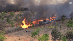 ibaneis-suspende-ferias-dos-bombeiros-no-df-por-causa-das-queimadas