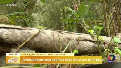 operacao-mata-atlantica-em-pe-monitora-desmatamento-em-sc