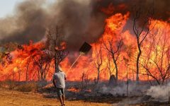 brasil-pede-ajuda-internacional-para-combater-queimadas