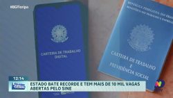 santa-catarina-registra-recorde-de-10-mil-vagas-de-emprego-pelo-sine