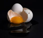 fonte-de-felicidade:-7-beneficios-de-comer-ovo-todos-os-dias