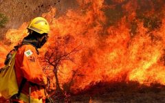 corpo-de-bombeiros-do-df-reforca-equipes-de-combate-a-incendios-florestais