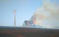 incendios-proximos-a-redes-eletricas-aumentam-300%-em-goias-em-2024,-diz-equatorial