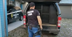 operacao-prende-quatro-pedofilos-no-extremo-sul-de-sc;-mae-que-aliciava-criancas-esta-foragida