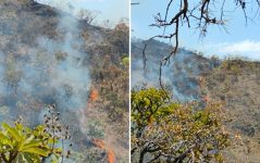 incendio-atinge-reserva-indigena-ava-canoeiro