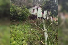 chuva-causa-transtornos-no-oeste-de-sc:-destelhamentos,-queda-de-arvores-e-morte-de-animais