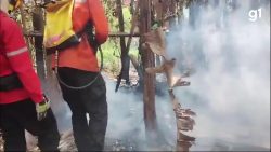 video:-homem-coloca-fogo-no-terreno-de-casa-e-chamas-se-alastram-para-serra-da-beleza,-em-valenca