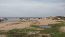 com-seca-severa,-rio-tapajos-atinge-1,15-metro-e-ja-afeta-turismo-em-alter-do-chao