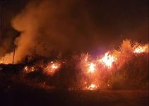 incendio-florestal-atinge-cerca-de-100-hectares-de-vegetacao-em-oiapoque,-no-norte-do-amapa