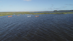 lagoa-do-peixe-recupera-volume-de-agua-apos-enfrentar-anos-seguidos-de-seca-no-rs;-veja-antes-e-depois