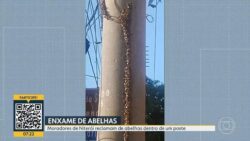 abelhas-formam-colmeia-em-poste-em-niteroi;-video